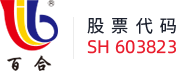大发真钱集团股份有限公司