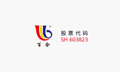大发真钱集团股份有限公司 关于对外投资暨内蒙古源晟制钠科技有限公司项目的进展公告