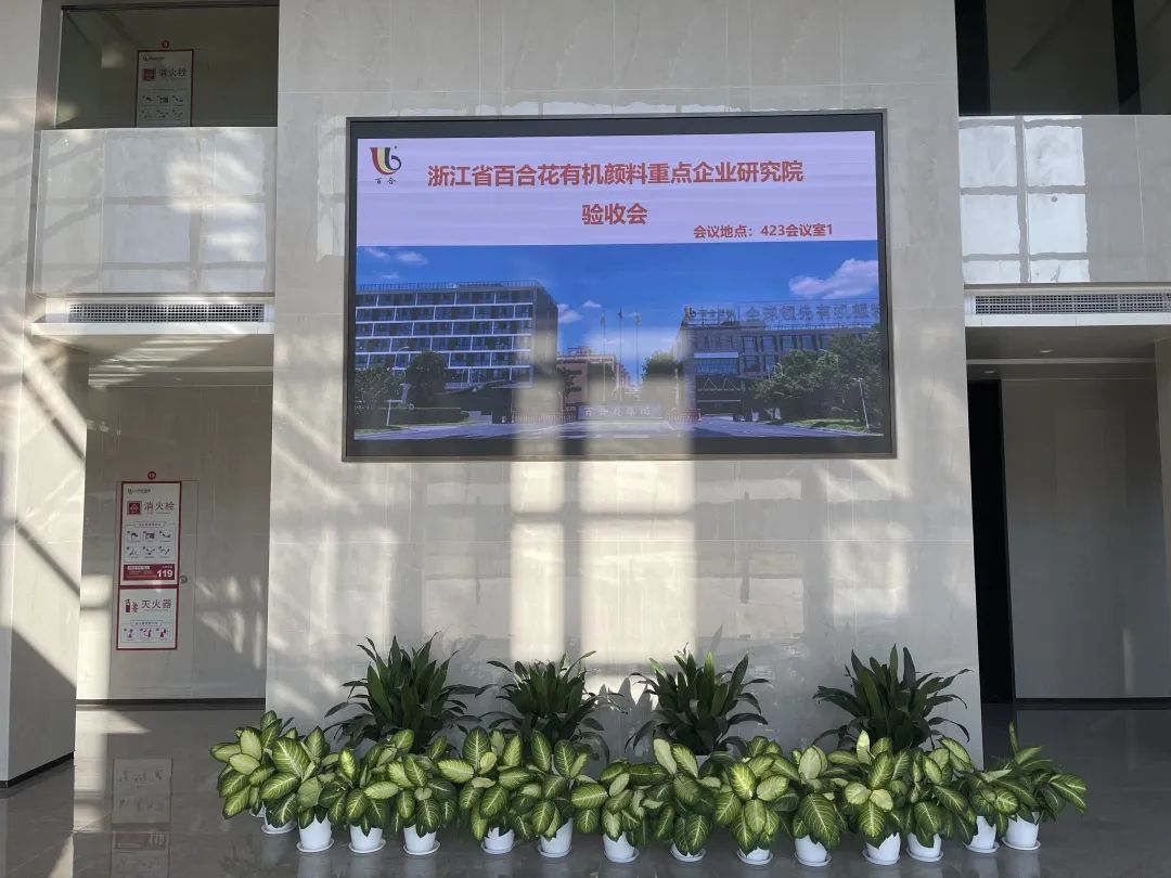热烈庆祝浙江省大发真钱有机颜料重点企业研究院通过验收